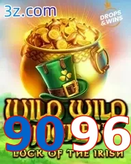 9096